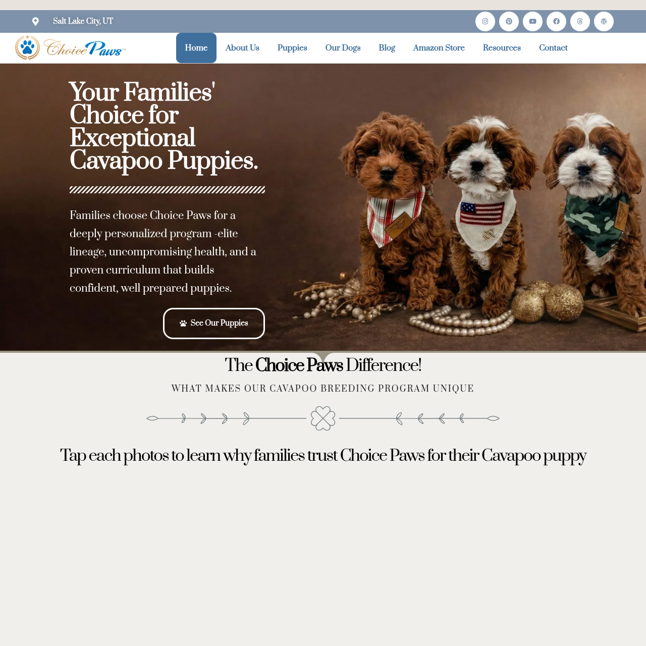 Homepage of the Choice Paws website