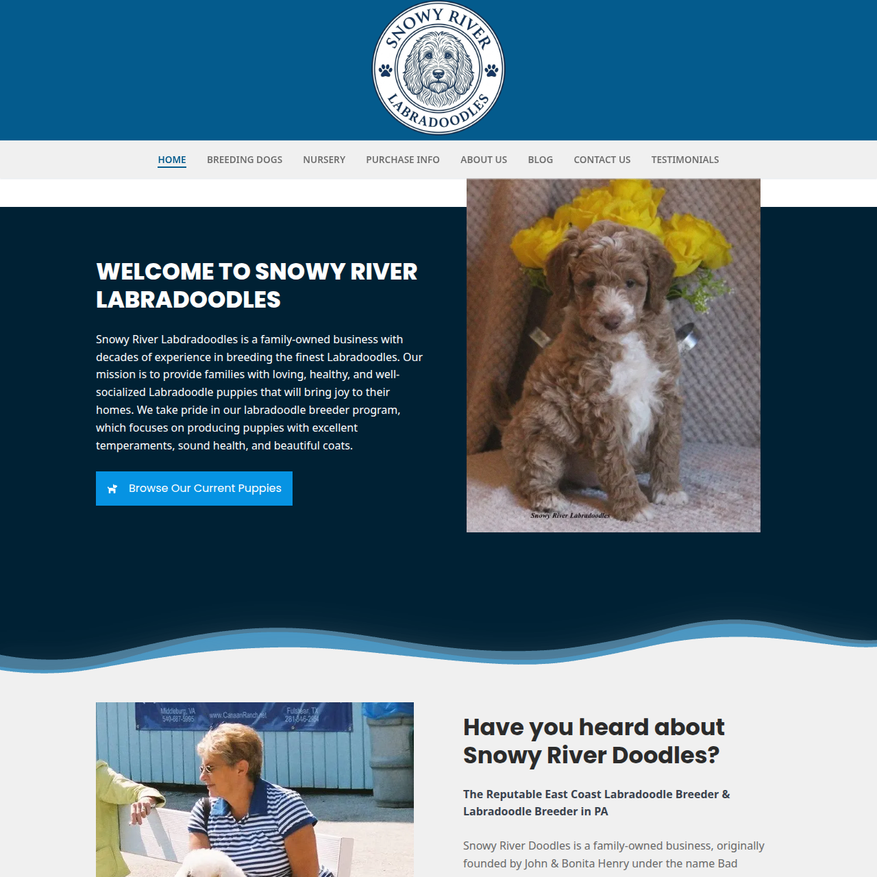 Homepage of the Snowy River Labradoodles website